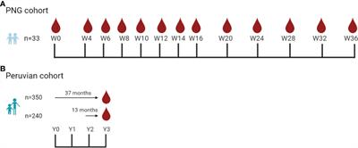 Assessment of IgG3 as a serological exposure marker for Plasmodium vivax in areas with moderate–high malaria transmission intensity